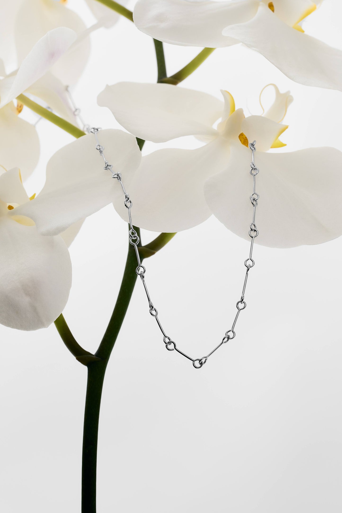 Bone Chain Necklace