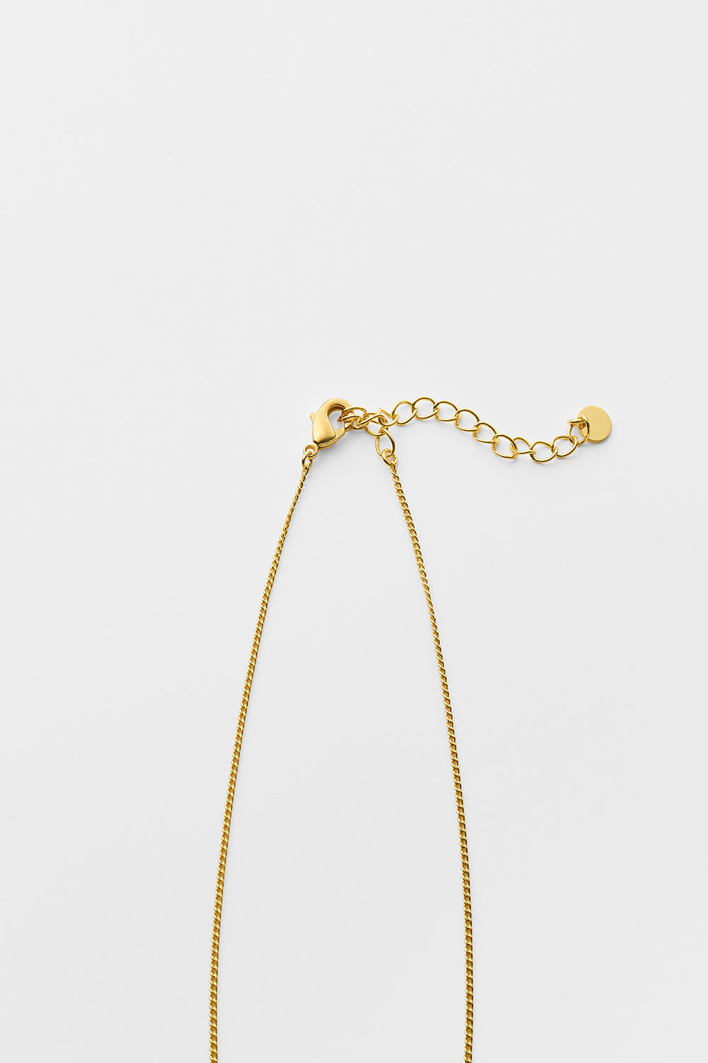 Oval medal necklace
