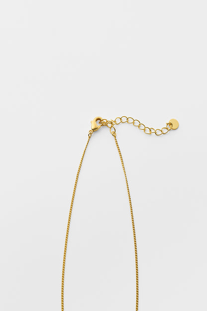 Oval medal necklace