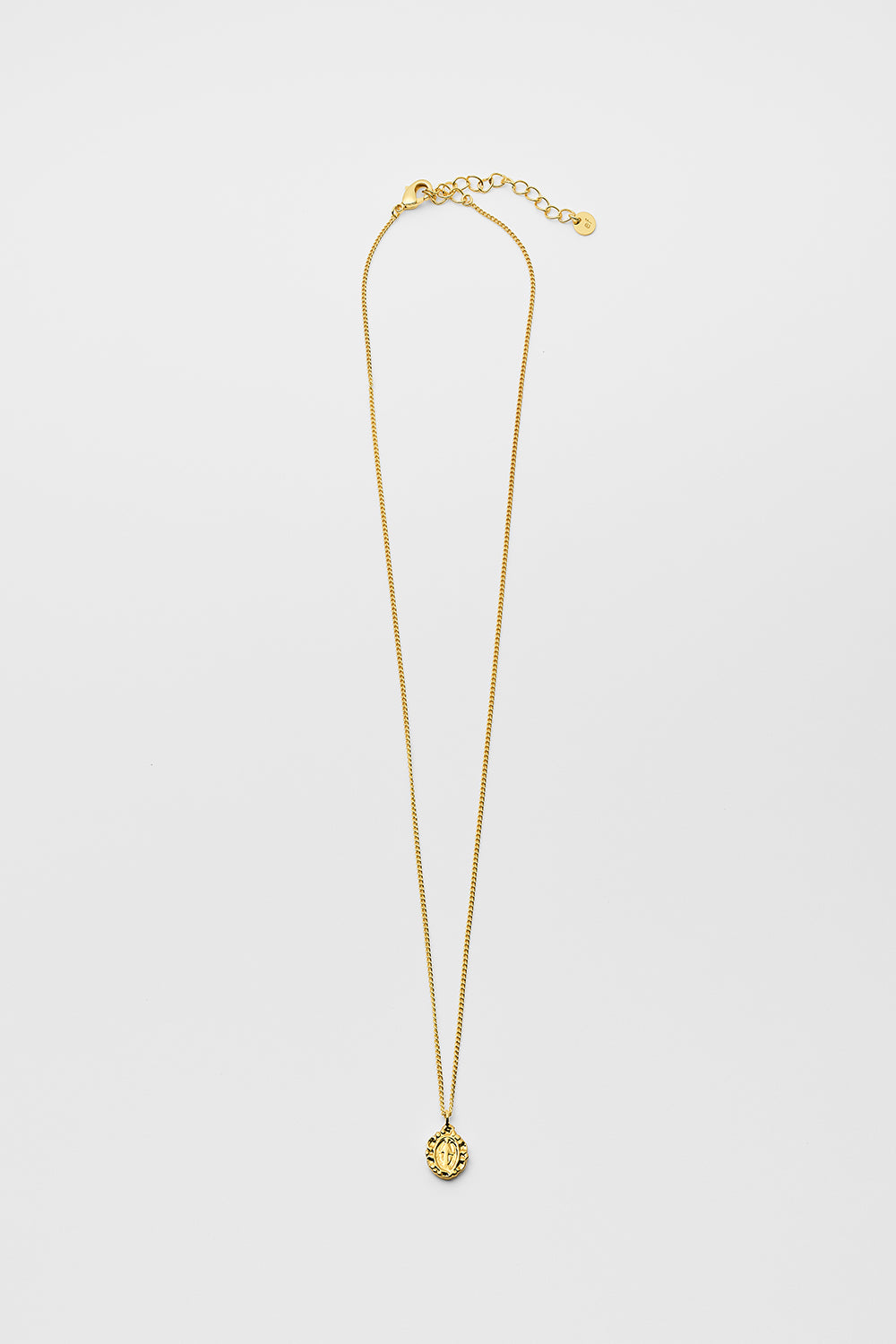 Oval medal necklace