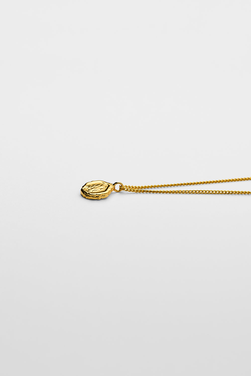 Oval medal necklace