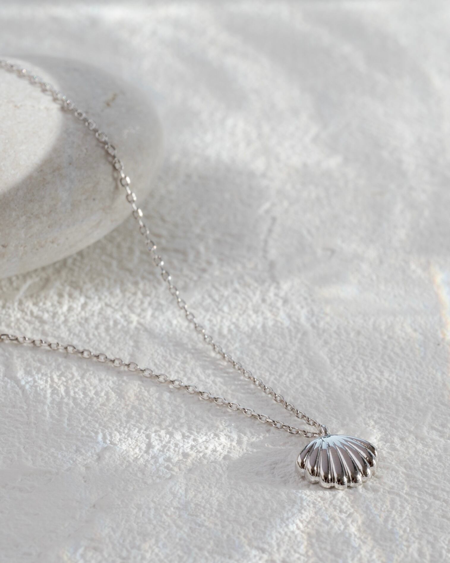 Shell charm necklace
